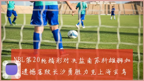 NBL第20轮精彩对决盐南苏科雄狮加时遗憾落败长沙勇胜力克上海玄鸟