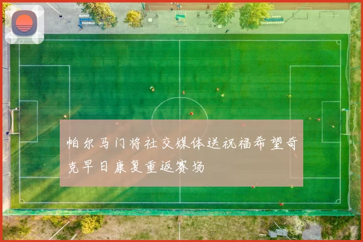 帕尔马门将社交媒体送祝福希望奇克早日康复重返赛场